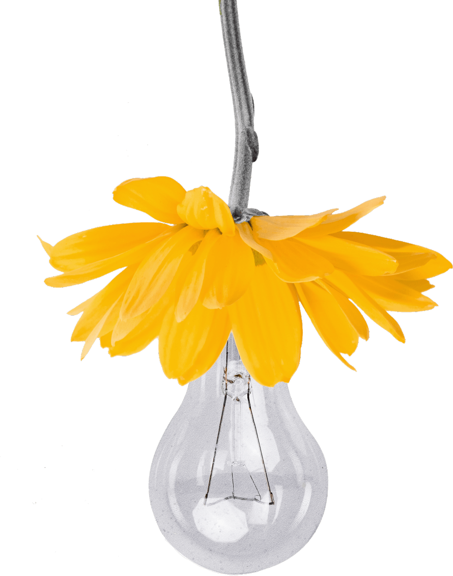 création de votre projet de communication sur mesure avec le Patio Numérique